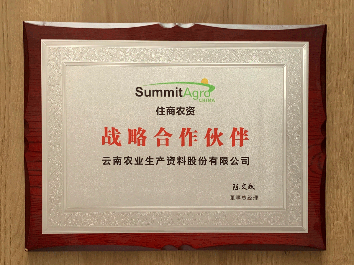 韓國summit戰略合作伙伴