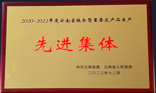 2020-2022年度云南省糧食暨重要農產品生產先進集體